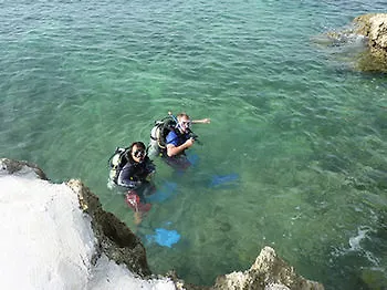 Camotes Flying Fish Poro